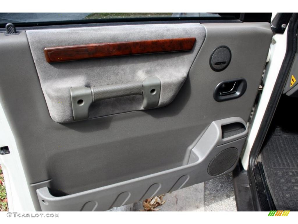 2000 Land Rover Discovery II Standard Discovery II Model Smokestone Door Panel Photo #47017971