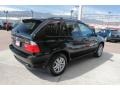 2006 Black Sapphire Metallic BMW X5 3.0i  photo #3