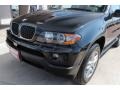 2006 Black Sapphire Metallic BMW X5 3.0i  photo #21