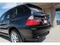 2006 Black Sapphire Metallic BMW X5 3.0i  photo #24