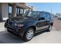 2006 Black Sapphire Metallic BMW X5 3.0i  photo #28