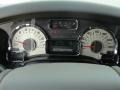 Chaparral Leather Gauges Photo for 2011 Ford Expedition #47026413