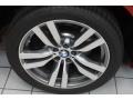 2011 BMW X6 M M xDrive Wheel and Tire Photo