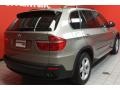 Platinum Bronze Metallic - X5 3.0si Photo No. 3