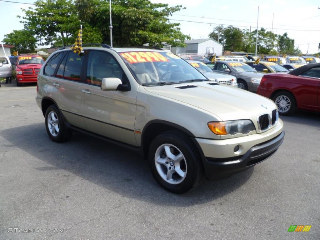 2003 X5 3.0i - Pearl Beige Metallic / Beige photo #1