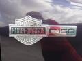 2007 Ford F150 Harley-Davidson SuperCrew Marks and Logos
