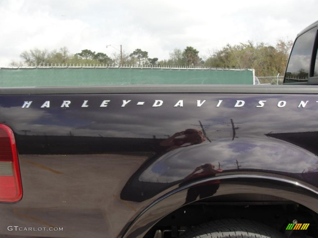 2007 F150 Harley-Davidson SuperCrew - Dark Amethyst / Black photo #23