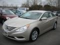 Camel Pearl - Sonata GLS Photo No. 1