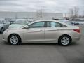 Camel Pearl - Sonata GLS Photo No. 13