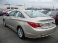 Camel Pearl - Sonata GLS Photo No. 14