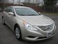 Camel Pearl - Sonata GLS Photo No. 16