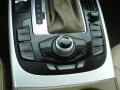 Cardamom Beige Controls Photo for 2009 Audi A4 #47038512