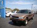 Sandalwood Metallic - S10 Extended Cab Photo No. 4
