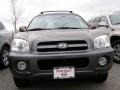 2005 Mocha Frost Beige Hyundai Santa Fe GLS  photo #2