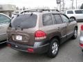 2005 Mocha Frost Beige Hyundai Santa Fe GLS  photo #5