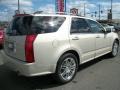 Gold Mist - SRX 4 V6 AWD Photo No. 7