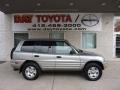 Quicksilver - RAV4 4WD Photo No. 1