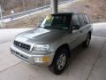 Quicksilver - RAV4 4WD Photo No. 5