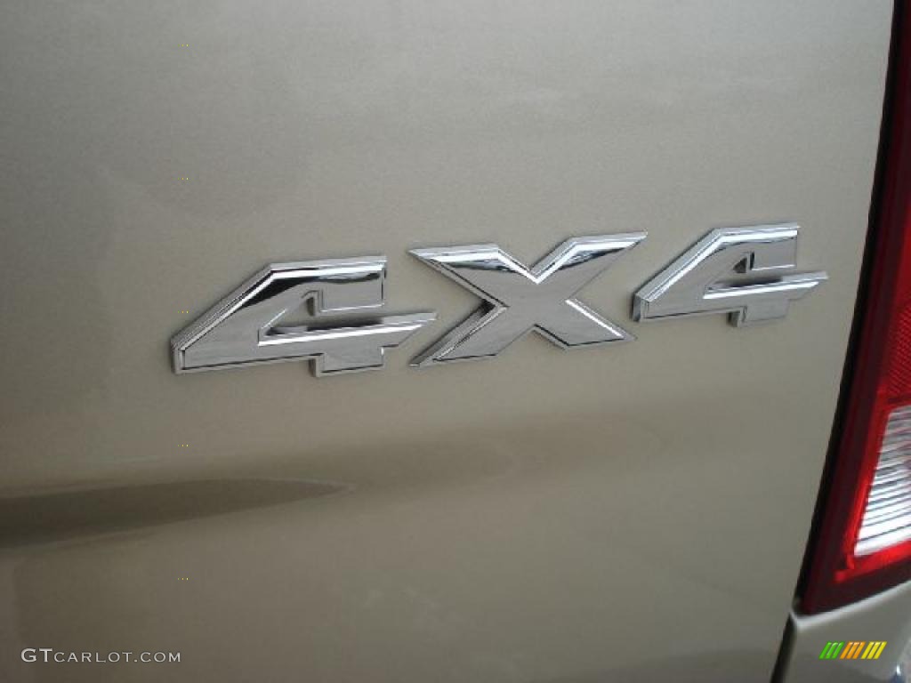 2011 Ram 1500 Big Horn Quad Cab 4x4 - White Gold / Dark Slate Gray/Medium Graystone photo #14