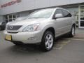 Millennium Silver Metallic - RX 350 AWD Photo No. 3