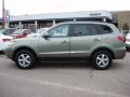 2008 Platinum Sage Hyundai Santa Fe GLS  photo #3