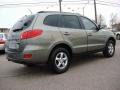 2008 Platinum Sage Hyundai Santa Fe GLS  photo #5