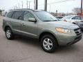 2008 Platinum Sage Hyundai Santa Fe GLS  photo #7