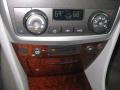 Light Platinum - SRX V6 Photo No. 29