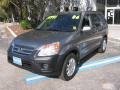 2006 Pewter Pearl Honda CR-V EX  photo #4