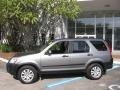 Pewter Pearl - CR-V EX Photo No. 5
