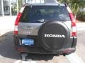 2006 Pewter Pearl Honda CR-V EX  photo #8