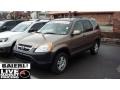 2003 Mojave Mist Metallic Honda CR-V EX 4WD  photo #3