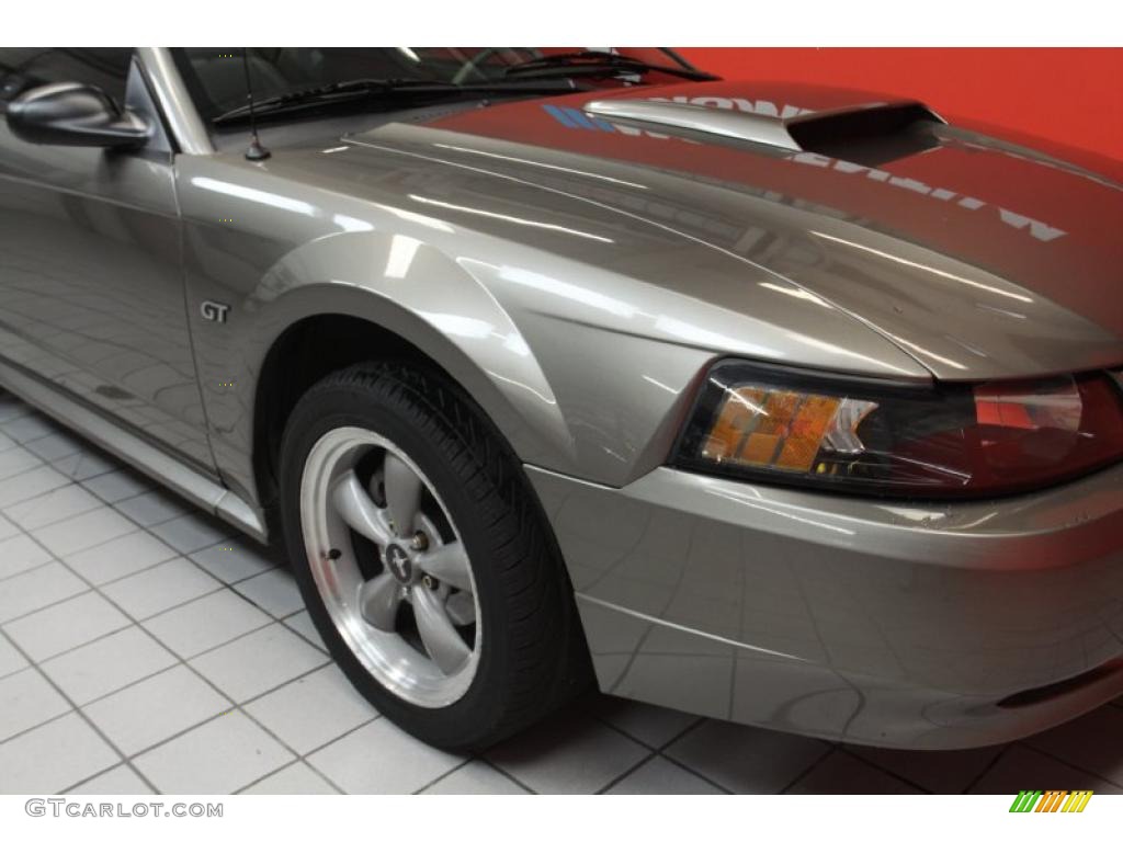 2002 Mustang GT Coupe - Mineral Grey Metallic / Medium Parchment photo #13