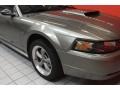 2002 Mineral Grey Metallic Ford Mustang GT Coupe  photo #13