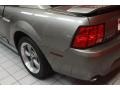 2002 Mineral Grey Metallic Ford Mustang GT Coupe  photo #19