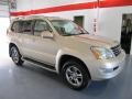 Savannah Beige Metallic - GX 470 Photo No. 5