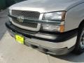 2005 Silver Birch Metallic Chevrolet Silverado 1500 LS Extended Cab  photo #11