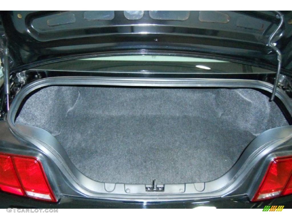 2008 Ford Mustang GT Premium Coupe Trunk Photo #47074883