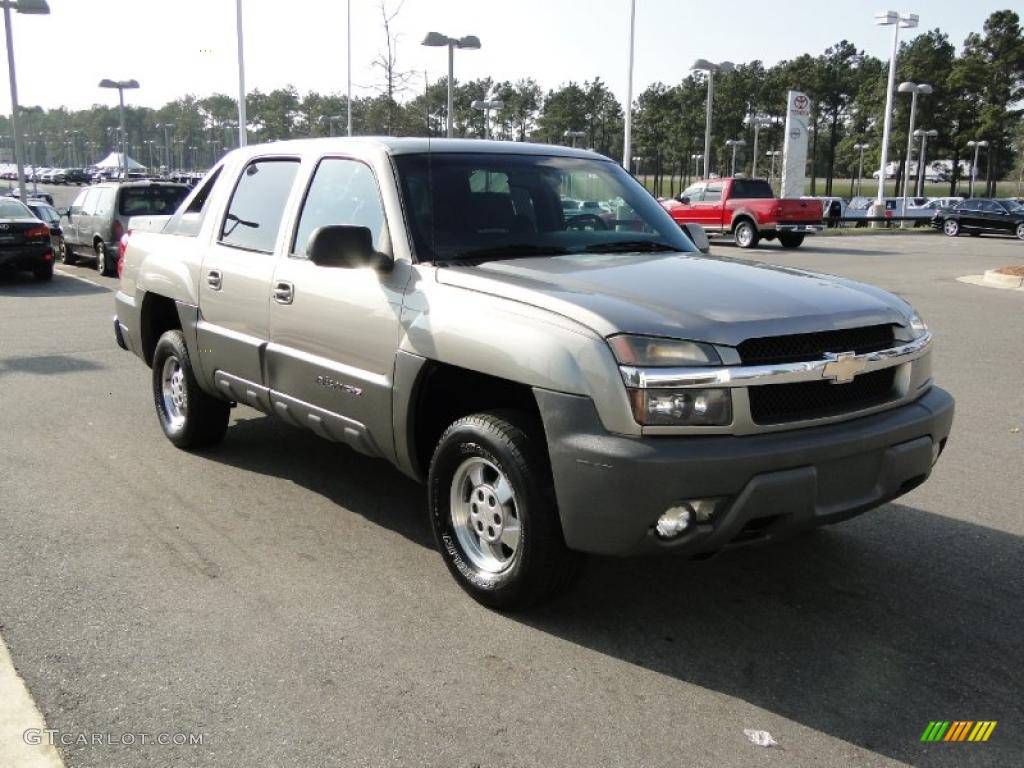 Light Pewter Metallic 2002 Chevrolet Avalanche Standard Avalanche Model Exterior Photo #47075624