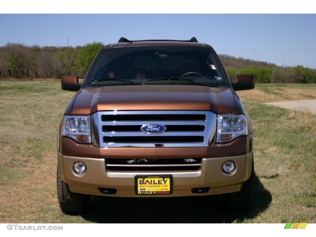 2011 Expedition EL King Ranch 4x4 - Golden Bronze Metallic / Chaparral Leather photo #18