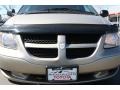 Light Almond Pearl - Grand Caravan Sport Photo No. 29