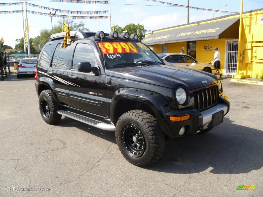 Black Clearcoat Jeep Liberty