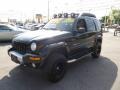 2003 Black Clearcoat Jeep Liberty Renegade 4x4  photo #3