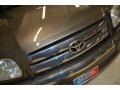 2006 Phantom Gray Pearl Toyota Tundra SR5 Double Cab  photo #14