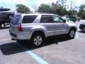Titanium Metallic - 4Runner SR5 Photo No. 3
