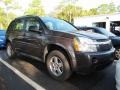 2007 Granite Gray Metallic Chevrolet Equinox LS  photo #1