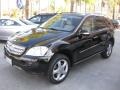 Black 2008 Mercedes-Benz ML 350 4Matic Exterior