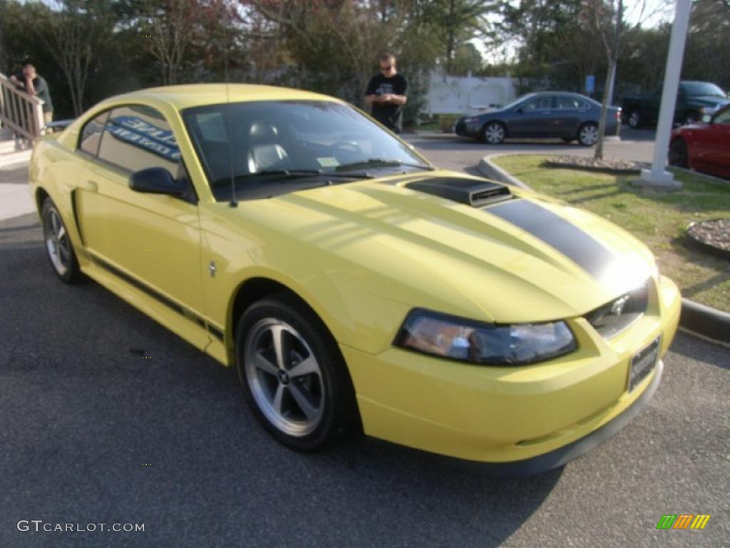 2003 Mustang Mach 1 Coupe - Zinc Yellow / Dark Charcoal photo #8