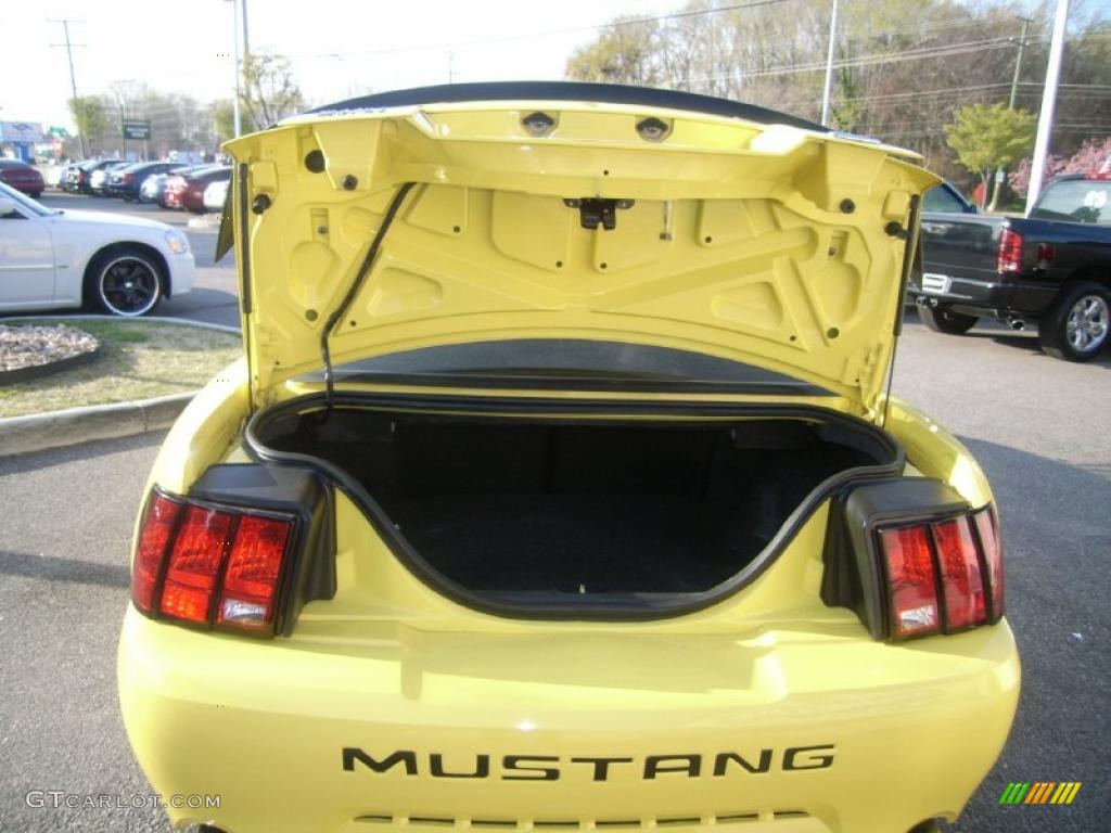 2003 Mustang Mach 1 Coupe - Zinc Yellow / Dark Charcoal photo #11