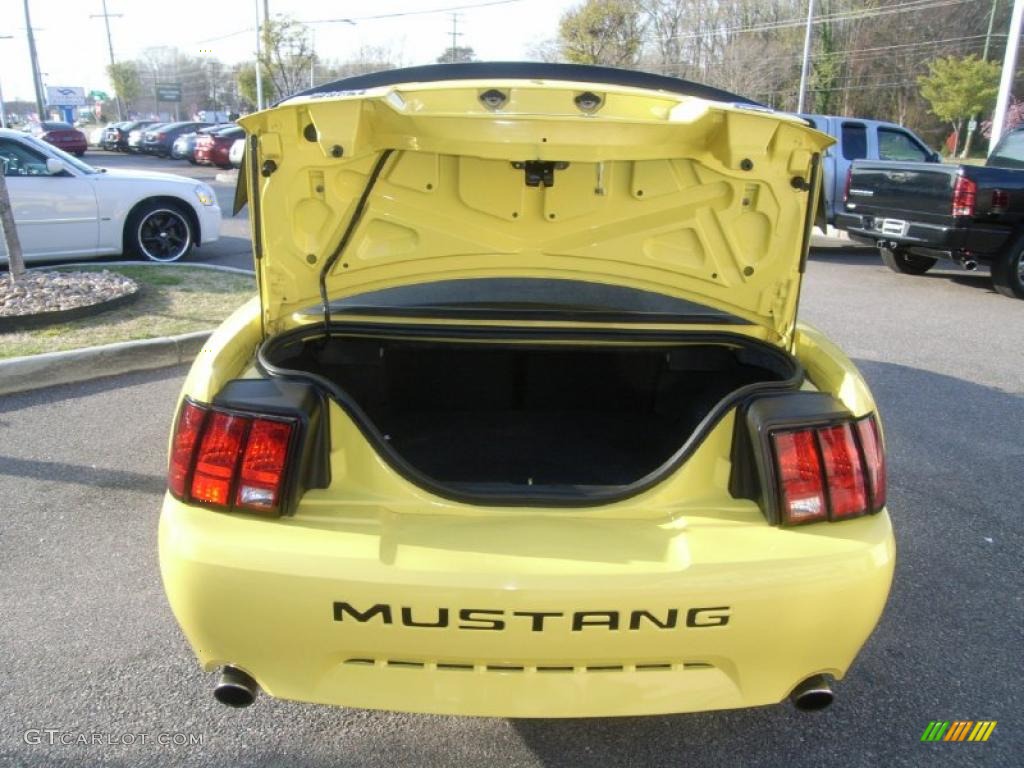 2003 Mustang Mach 1 Coupe - Zinc Yellow / Dark Charcoal photo #12